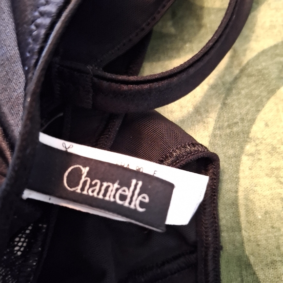 Chantelle Black and Cream Lace Bodysuit - Picture 2 of 5